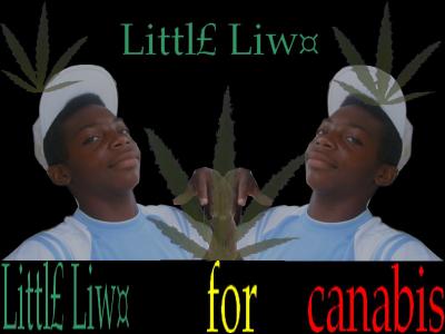 XXXXXXX LITTLE LIX XXXXXXX